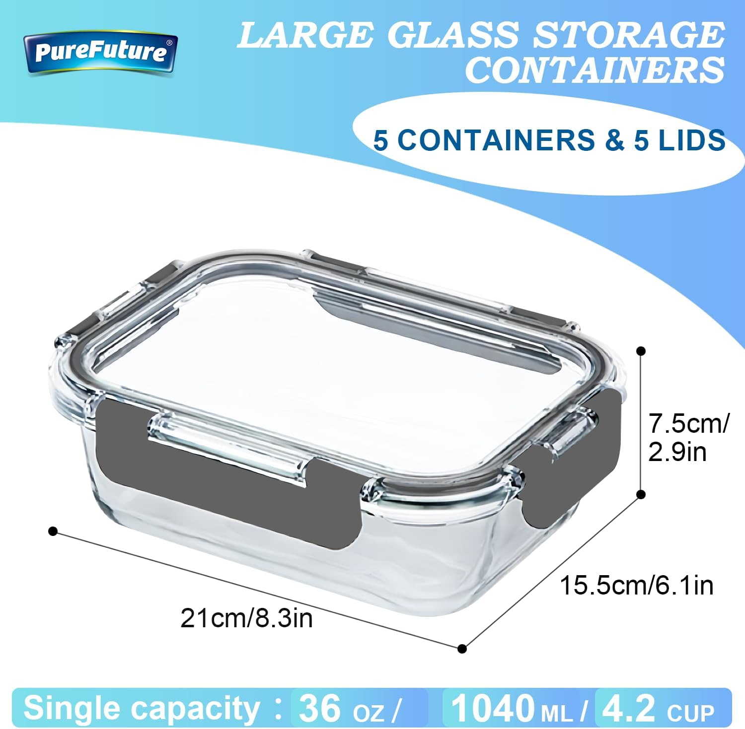 Pure Future 10-Piece Borosilicate Glass Food Storage Set (Model: B0DZX9JNPW)