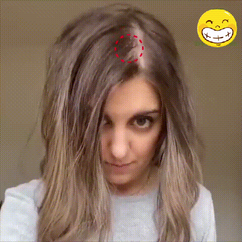 1.gif