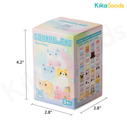 Square Cat Big Size Ice Cube Series Blind Box