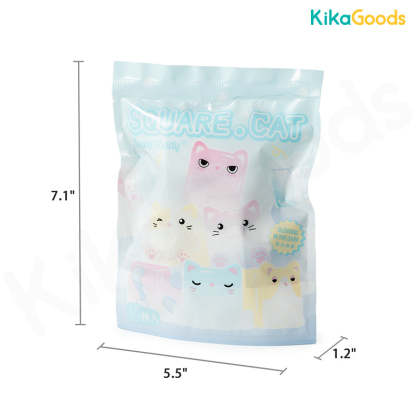 Square Cat Ice Cube Glow In The Dark Series Blind Bag