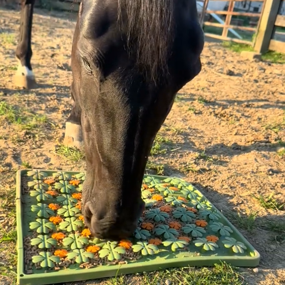 Feeding Activity Mat for Horses, Food-Grade Silicone, Stimulates Mental Development