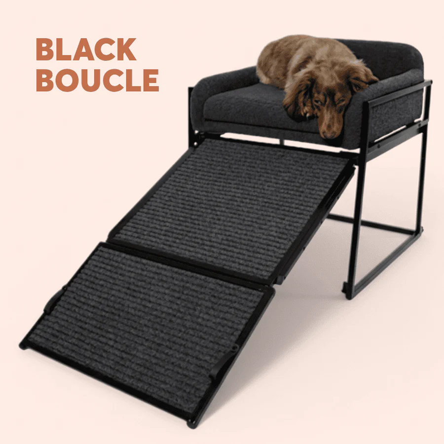 Pet Chair with Built-in Ramp | Cozy Table-Side Seat for Small & Senior Pets