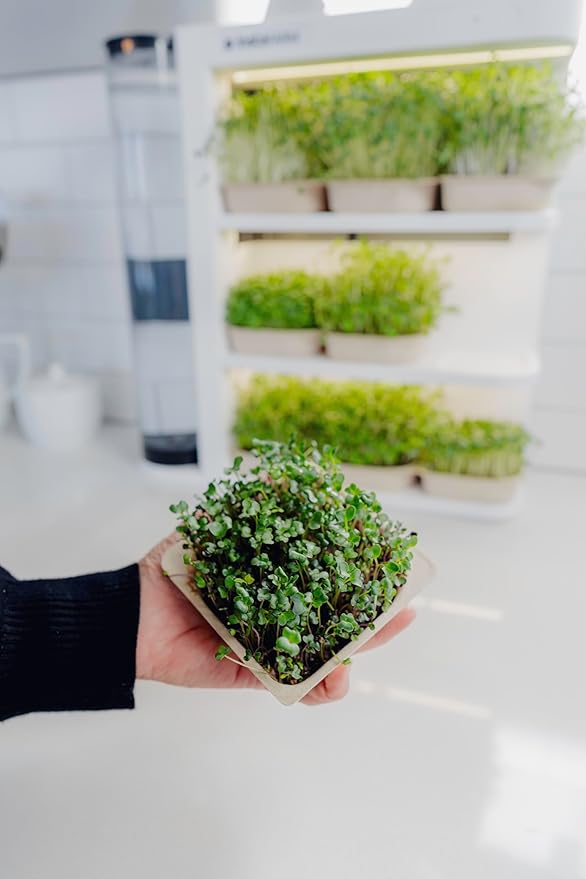 Indoor Garden – Fully Automated LED Growing Unit