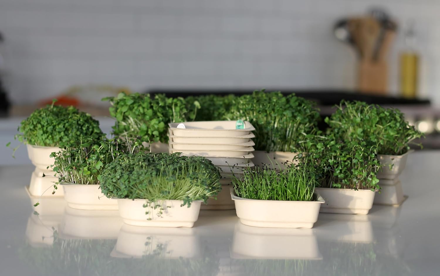 Indoor Garden – Fully Automated LED Growing Unit