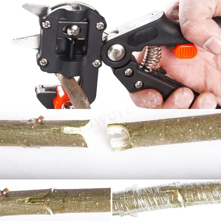 Grafting tools for fruit trees and grapevines / pruning shears