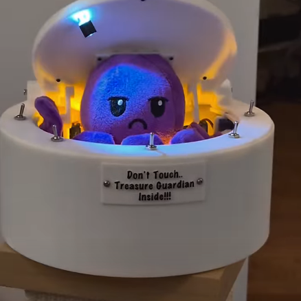 Octopus treasure guardian box details