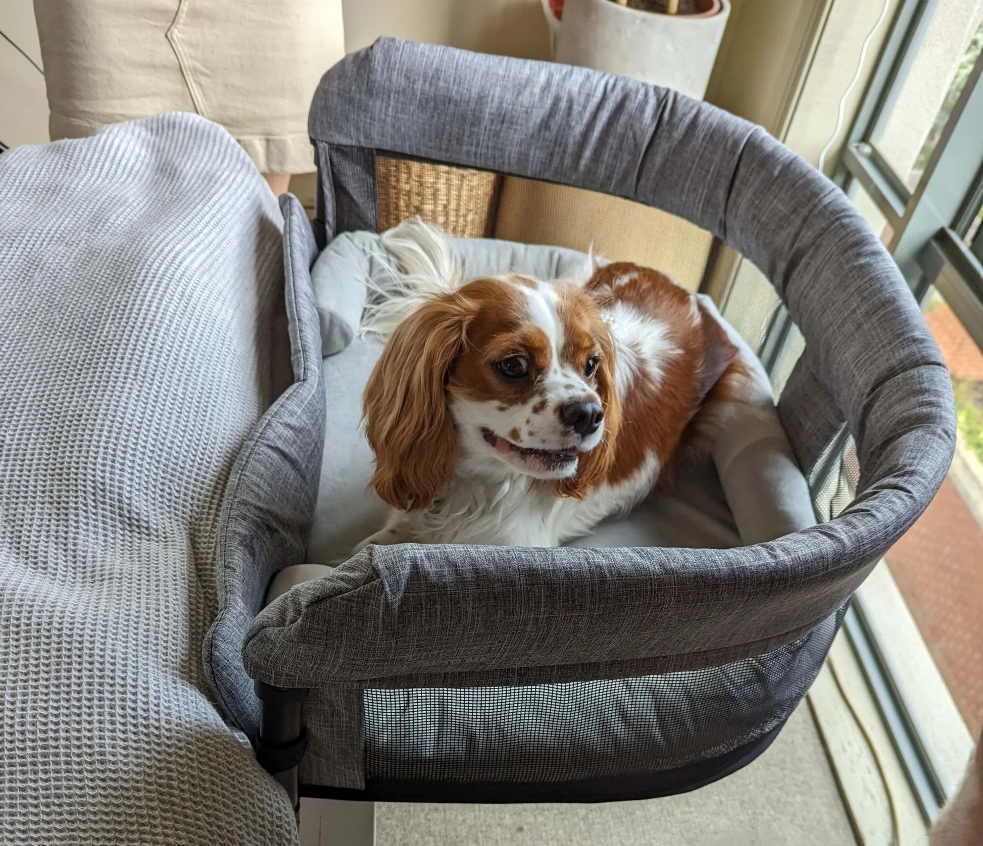 Bedside Pet Bed – Co-Sleeper for Cats & Small Dogs