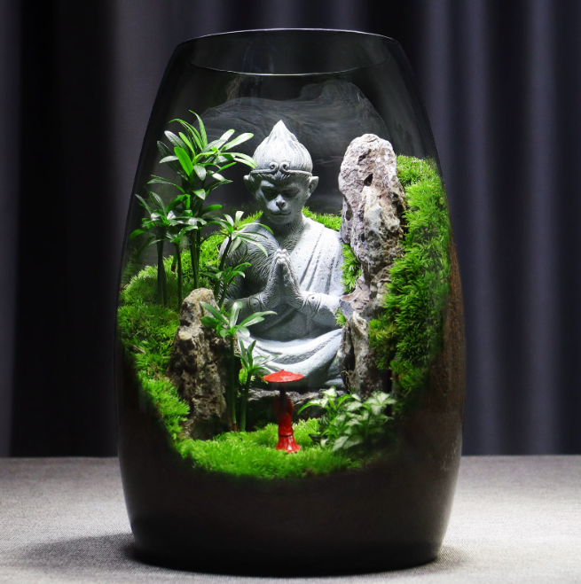 🌿 Desktop Moss Terrarium
