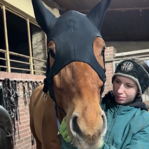 Liquid Titanium Mask with Ears – Therapeutic Far Infrared Therapy Mask