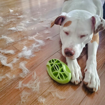 Rubber Curry Brush for Dogs
