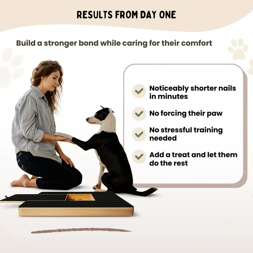 Wooden Dog Scratching Board with Extendable Sandpaper Nail File