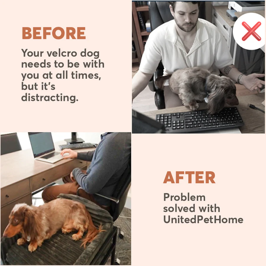 Pet Chair with Built-in Ramp | Cozy Table-Side Seat for Small & Senior Pets