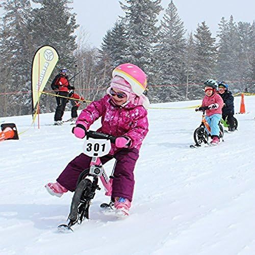 Outdoor bicycle sled accessories