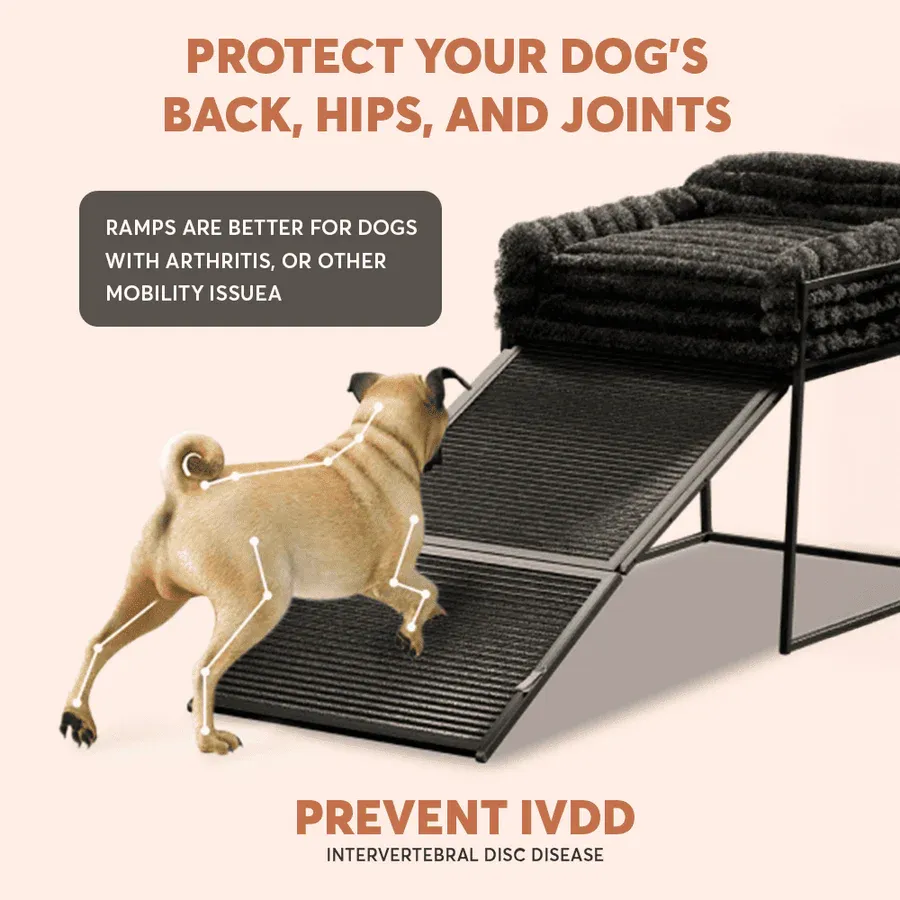 Pet Chair with Built-in Ramp | Cozy Table-Side Seat for Small & Senior Pets