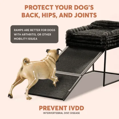 Pet Chair with Built-in Ramp | Cozy Table-Side Seat for Small & Senior Pets