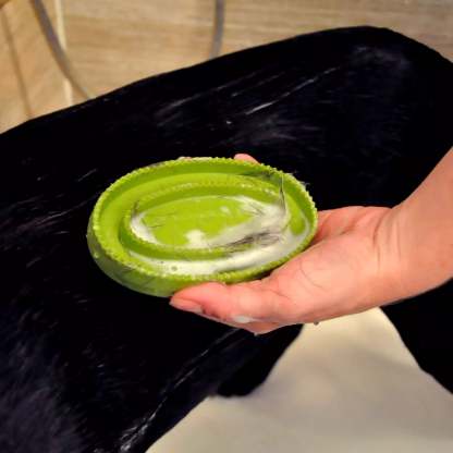 Rubber Curry Brush for Dogs