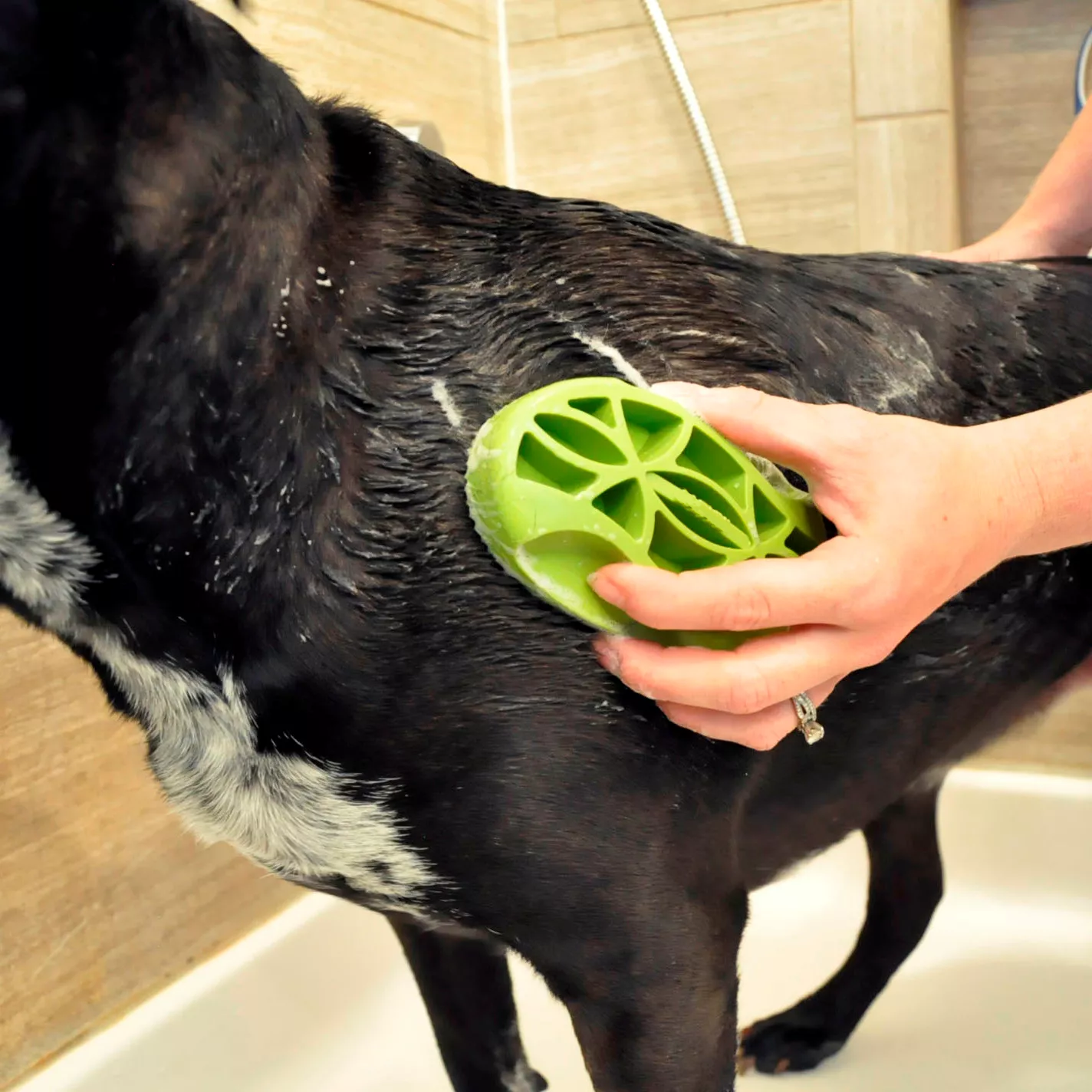 Rubber Curry Brush for Dogs