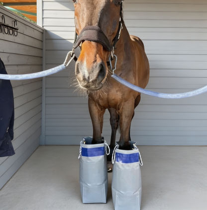 Equine Cold Therapy Boots