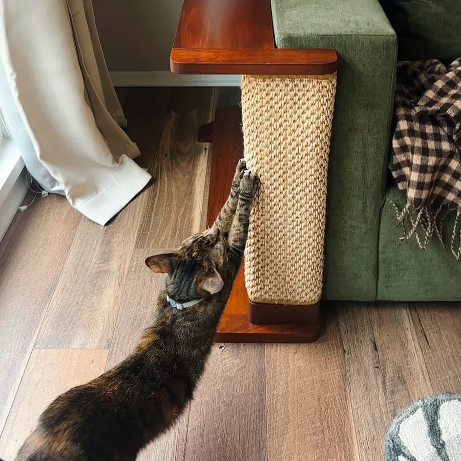Corner Cat Scratching Side Table