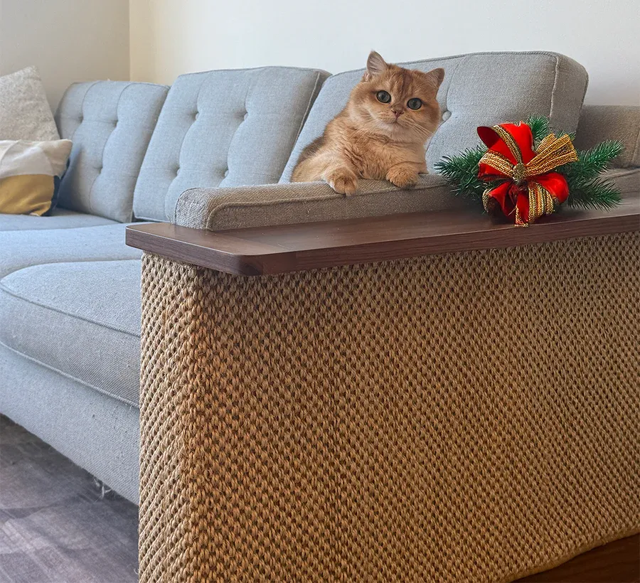 Corner Cat Scratching Side Table