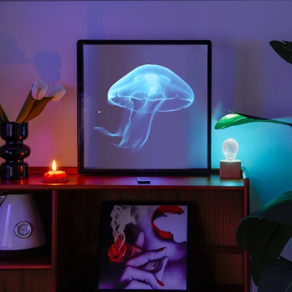 3D Holographic Projector LED Hologram Fan with Protective Cover