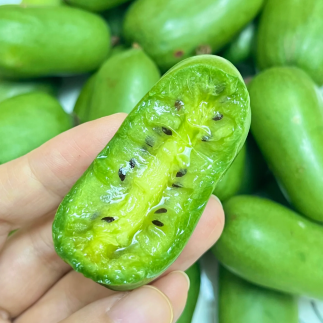 🥝Měkká datlová kiwi semínka