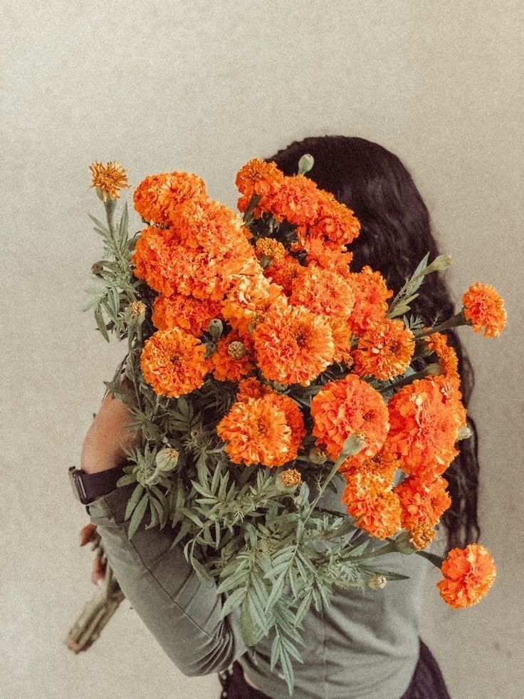 Kvety nechtíka lekárskeho – žiarivé, odolné a ľahko pestovateľné po celý rok