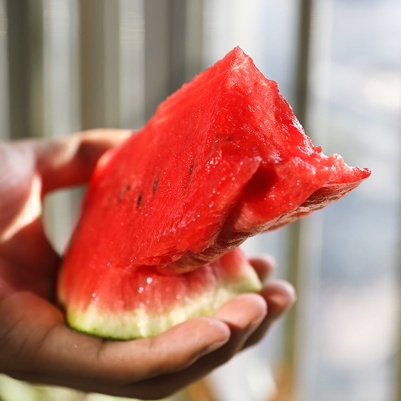 🔥Posledný deň výpredaja🍉Semienka melónu od Lazy Mana🍉