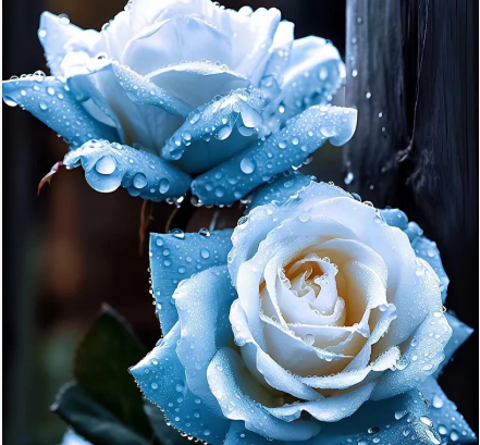 💙 Семена на синя омагьосана роза ✨