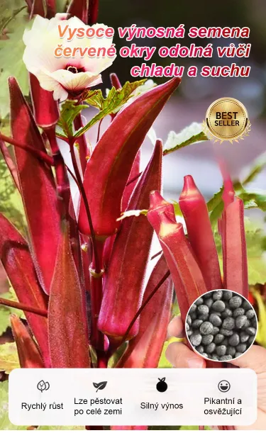 Vysoce výnosná semena červené okry odolná vůči chladu a suchu – AKCE 1+1 ZDARMA a DOPRAVA DOMŮ!