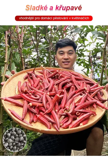 Vysoce výnosná semena červené okry odolná vůči chladu a suchu – AKCE 1+1 ZDARMA a DOPRAVA DOMŮ!