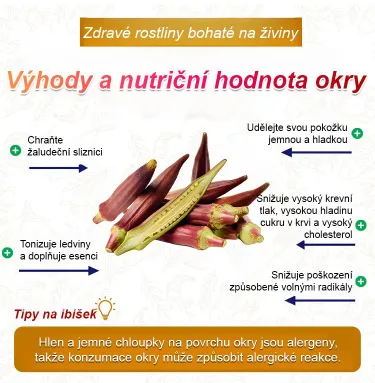 Vysoce výnosná semena červené okry odolná vůči chladu a suchu – AKCE 1+1 ZDARMA a DOPRAVA DOMŮ!