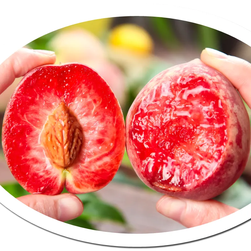 Semínka krvavé broskve 🏡 – Chuť slunce jako léto 50. let!🌟