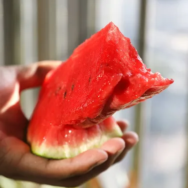 🔥 Poslední den výprodeje 🍉 Semena melounu „Lazy Man“ 🍉