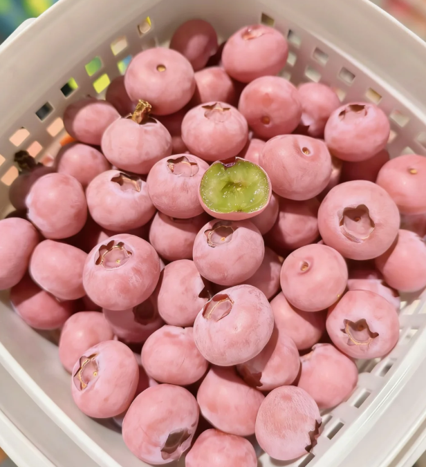 🌸🫐 Růžová borůvka – vzácná exotická novinka ve vaší zahradě! (Vzácná odrůda 🌟, omezené zásoby 📦 – kdo dřív přijde, ten dřív mele ⏳)