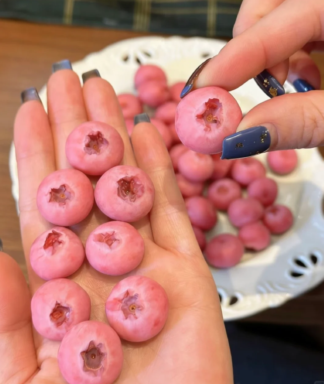 🌸🫐 Růžová borůvka – vzácná exotická novinka ve vaší zahradě! (Vzácná odrůda 🌟, omezené zásoby 📦 – kdo dřív přijde, ten dřív mele ⏳)