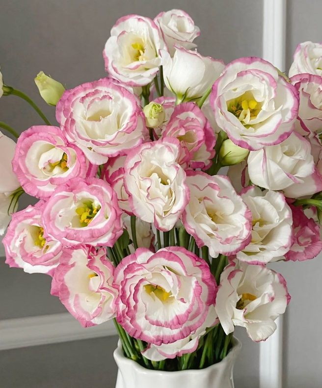 🔥Последен ден на продажба💝Eustoma Thornless Rose💐Семена от лизиантус