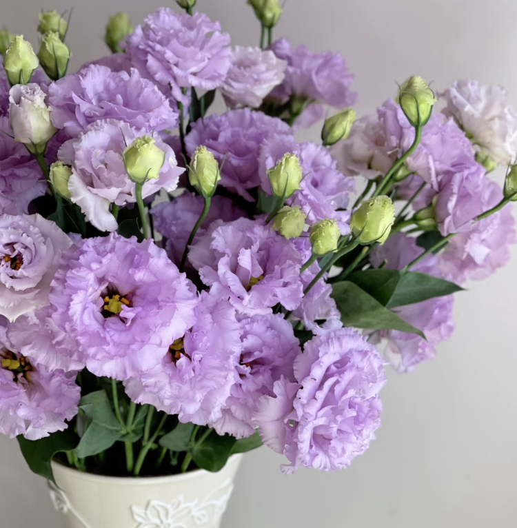 🔥Последен ден на продажба💝Eustoma Thornless Rose💐Семена от лизиантус