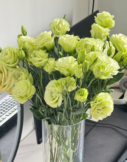 🔥Последен ден на продажба💝Eustoma Thornless Rose💐Семена от лизиантус