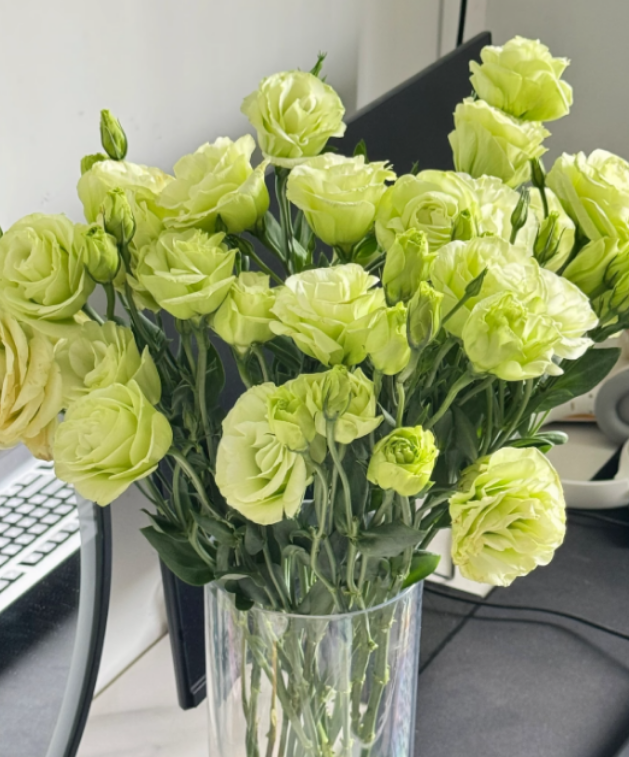 🔥Последен ден на продажба💝Eustoma Thornless Rose💐Семена от лизиантус