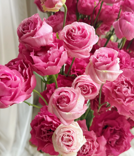 🔥Последен ден на продажба💝Eustoma Thornless Rose💐Семена от лизиантус