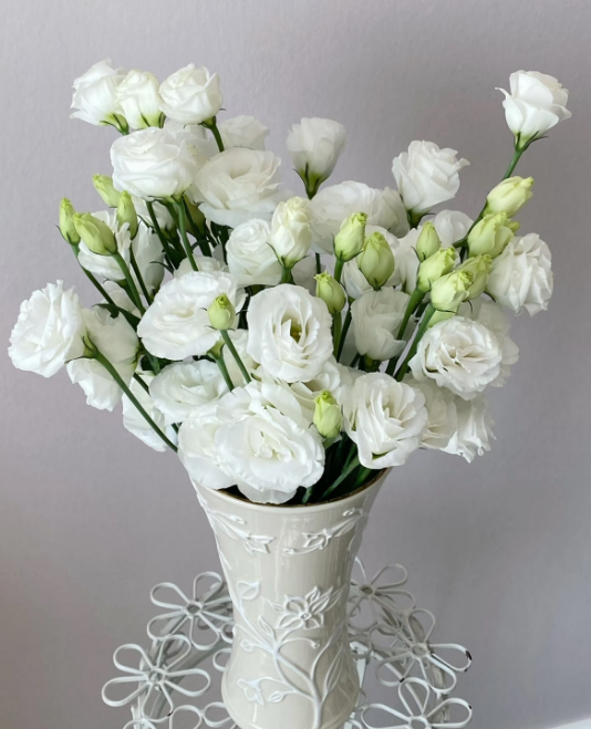 🔥Последен ден на продажба💝Eustoma Thornless Rose💐Семена от лизиантус