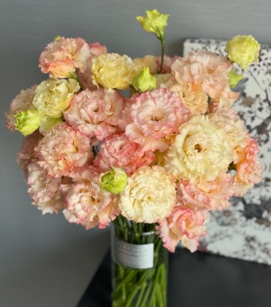 🔥Последен ден на продажба💝Eustoma Thornless Rose💐Семена от лизиантус