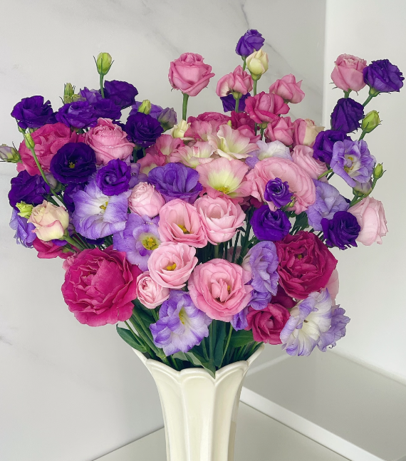 🔥Последен ден на продажба💝Eustoma Thornless Rose💐Семена от лизиантус