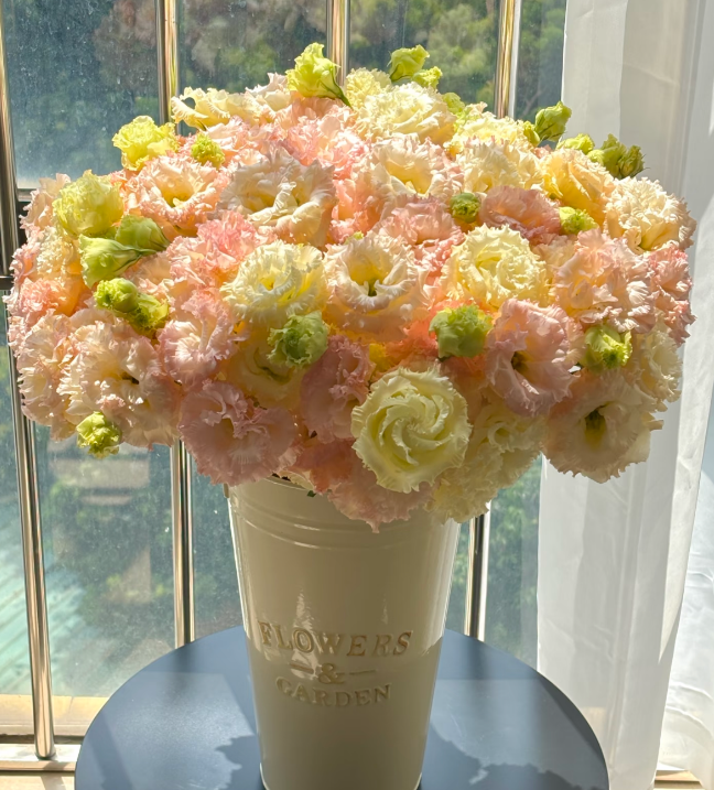 🔥Последен ден на продажба💝Eustoma Thornless Rose💐Семена от лизиантус