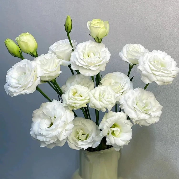 🔥Последен ден на продажба💝Eustoma Thornless Rose💐Семена от лизиантус