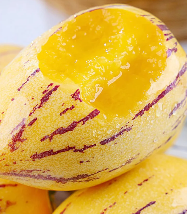 Ženšenové ovoce reguluje cukr a tlak 🌱 žlutá dužina | Doprava zdarma ✅