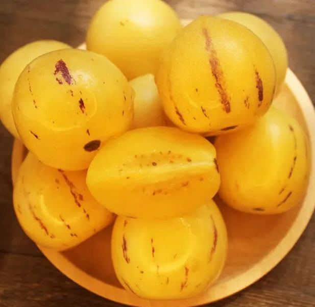 Ženšenové ovoce reguluje cukr a tlak 🌱 žlutá dužina | Doprava zdarma ✅