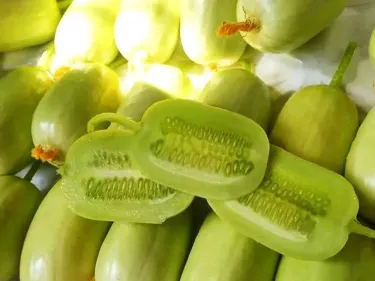 🥒 Mini okurky „Jade Lady“ – křehké, krémové, velikosti palce. Ideální pro celoroční pěstování na balkóně i na zahradě 🌱