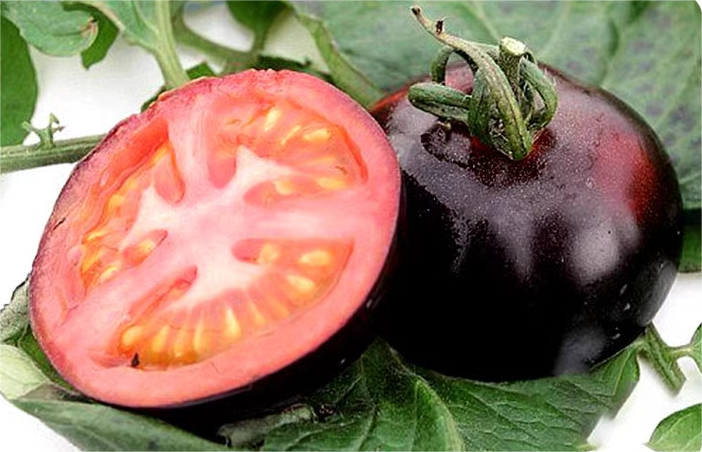 Černá rajčata - Černá kráska 🍅 – S vysokou klíčivostí 98%!